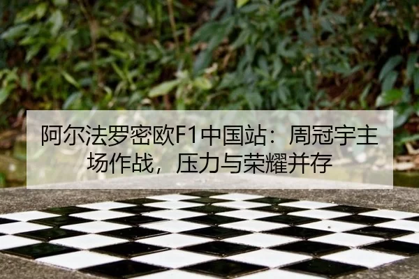 a-er-fa-luo-mi-ou-zhong-guo-zhan-zhou-guan-yu-zhu-chang-zuo-zhan-ya-li-yu-rong-yao-bing-cun-3-375.jpg