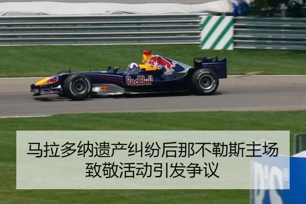 ma-la-duo-na-yi-chan-jiu-fen-hou-na-bu-le-si-zhu-chang-zhi-jing-huo-dong-yin-fa-zheng-yi-3-588.jpg