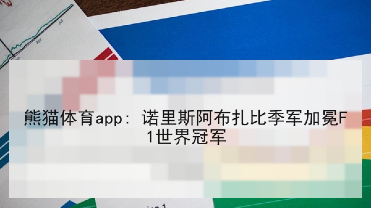 熊猫体育app: 诺里斯阿布扎比季军加冕F1世界冠军